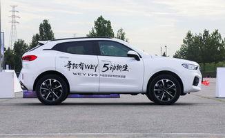 长城6万左右的车suv