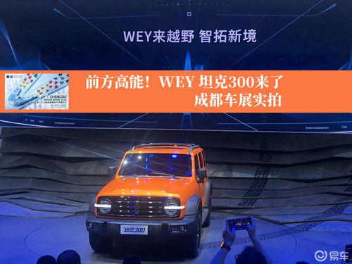 wey是什么车叫啥名